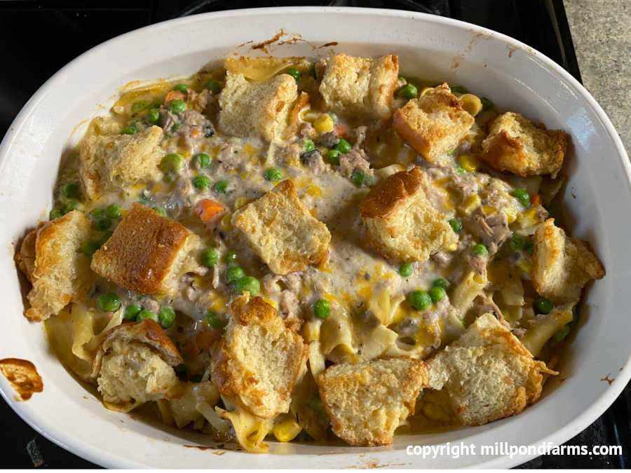 Tunafish Get Creative with Expiring Items